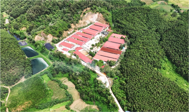 Trang trại Hoàng Thái