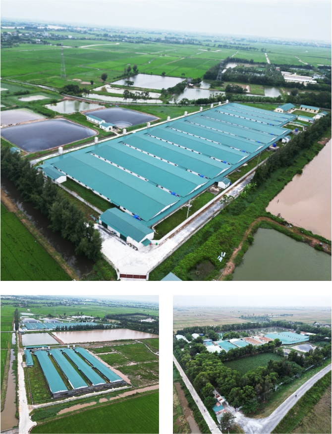 CÔNG TY CỔ PHẦN TRANG TRẠI ÐẠI DƯƠNG   