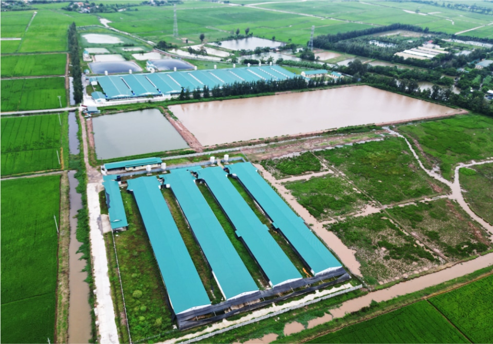 Sứ mệnh